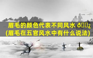 眉毛的颜色代表不同风水 🌿 (眉毛在五官风水中有什么说法)